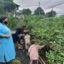 복이네 농장 이미지