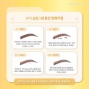 펄미에이트 이미지