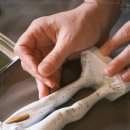 광명제일한의원 이미지