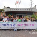 세지화탑마을 이미지