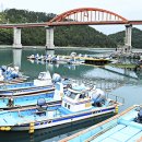 완도 고금도 지석묘군 이미지