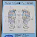 강천산군립공원(현수교) 이미지