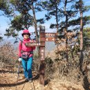 곡성-068 티스토리
