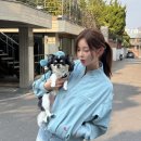스카이블루 스타패션