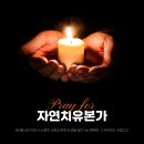 치유근육아카데미 이미지