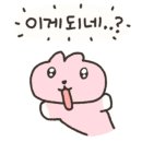 헬린이창고 이미지