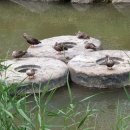 심양행정사 이미지