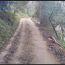 진상초황죽분교장 이미지