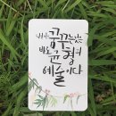 디자인캘리그라피학원 네이버블로그