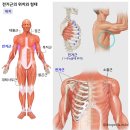 상방3길 | 전주 필라테스 추천 효자동 리나필라테스