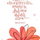 에스테르미용실