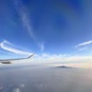 1548 | 2025년 03월 대한항공 무료 영화 드라마 목록, 신작 보는법 KE1548 탑승 후기