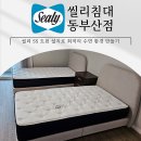 이 동 | 해운대침대 씰리침대 동부산점에서 인기매트리스 보르도 배송후기!