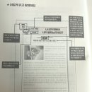 [북리뷰] 중등 처음 신문
