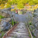 벨리타캠핑장 이미지