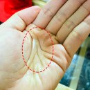 헤어리치 이미지