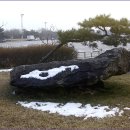 양덕리고인돌 이미지