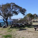 바다정원 이미지