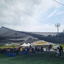 남양동경로당 | (24.6.)[괴산] 제13회 감물감자 축제_ 감자캐기 체험행사 후기 (feat.감자전)