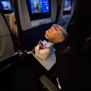 뽀도독(for the dog) | California (2025)