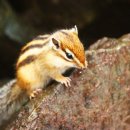 아 백두산 이미지