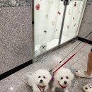 오늘독 이미지