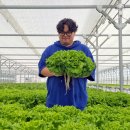 양림농장 이미지