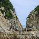 신비로-1 이미지