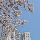 MMPI2+TCI 해석 상담 진행 (4/9) 대만족!