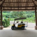BAN(반) | 태국 끄라비 숙소 Ban Sainai Resort 반사이나이 리조트 더 코코넛 코티지 후기(조식, 수영장)(12/1~12/3)