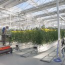 창원농장2 이미지