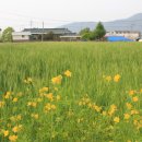 봉림마을회관 이미지