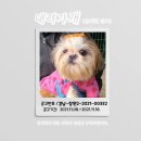 방범초소 옆 이미지