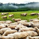 금생농장 이미지