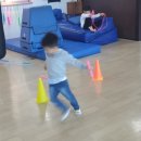 국술합기도무림관 이미지