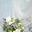 릴리플라워 이미지