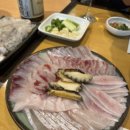 진동회집 | 논현역 근처 잠원동 오래된 맛집, 진동둔횟집 방문 후기