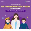 ※※※호흡기세포융합바이러스(RSV) 감염증 예방 안내문※※※ 이미지