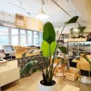 방배천로4안길 48 이미지