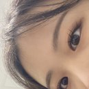 더래쉬 디자인스튜디오 | 인생 첫 속눈썹 연장 후기 | 강남 더래쉬디자인스튜디오