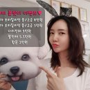 타미 테라피