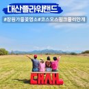 코스모스 | 창원 대산플라워랜드 핑크뮬리 코스모스 만개 가을 여행지 명소