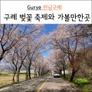 문척초등학교 | 전남 구례 3월 4월 벚꽃 축제와 산수유, 수선화 볼만한곳
