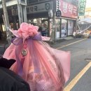요즘 인생 요약 zip
