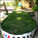 잔디휴가중 이미지