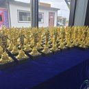 장광재 박사 태권도 이미지