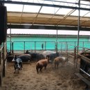 지사농장 이미지