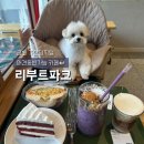 리부트 | 가산디지털역 애견동반 카페 추천 | 리부트파크 가산점 방문후기