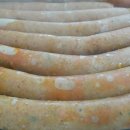 창한푸드 이미지