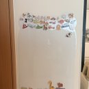 리틀빈 | 벽에 착 공간차지 없는 리틀빈 붙이는 자석보드 내돈내산 후기 🤍